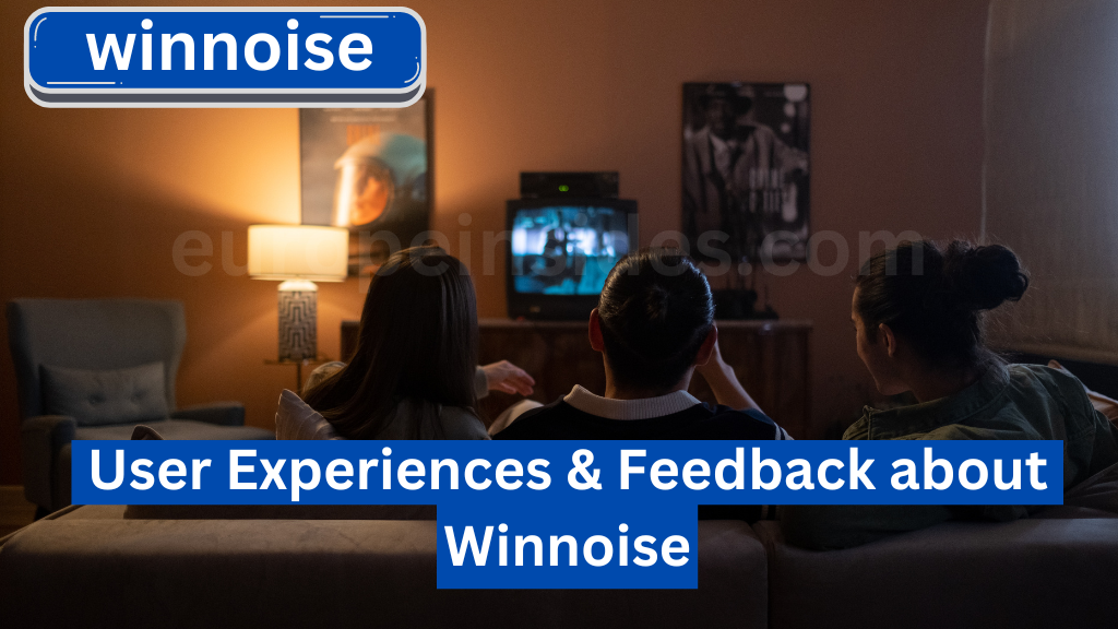 User Experiences & Feedback about Winnoise